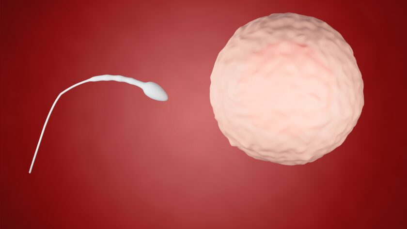 sperm