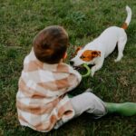 Can You Hire a Dog Bite Lawyer if Your Child Was Bitten By a Dog