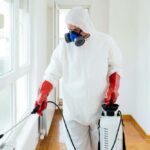 How Pest Control Services Can Reduce Stress and Anxiety
