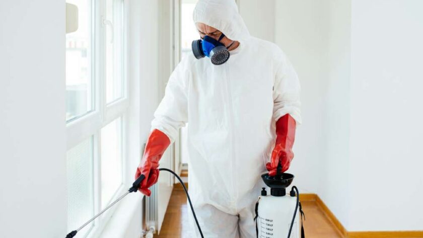 How Pest Control Services Can Reduce Stress and Anxiety