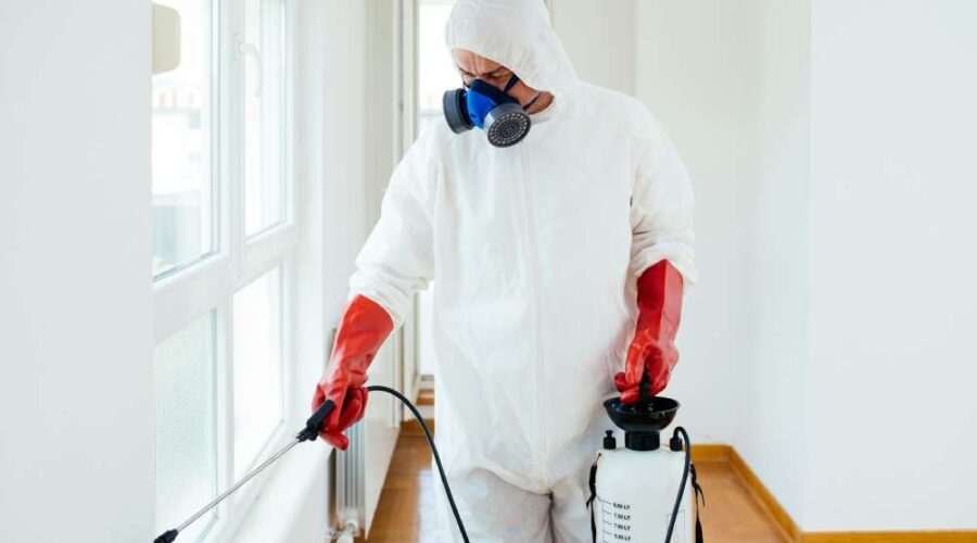 How Pest Control Services Can Reduce Stress and Anxiety