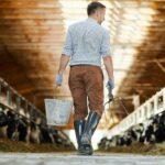 How to Arrange Your American Barn Shed For Greater Efficiency and Organisation