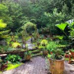 A Guide to Eco-Friendly Residential Gardens
