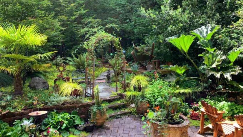 A Guide to Eco-Friendly Residential Gardens