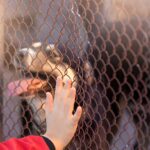 a practical guide for prospective pet parents to answer if a dog right for you